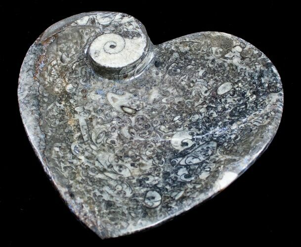 Heart Shaped Fossil Goniatite Dish #8878